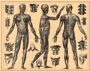 art by Brockhaus and Efron Encyclopedic Dictionary
