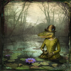 Illustration for Alligator