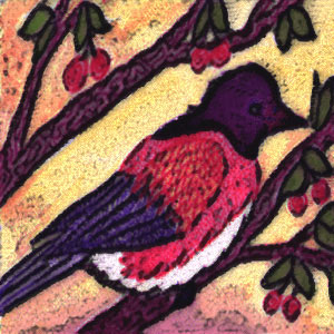 Illustration for One Purple Finch