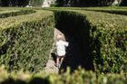 The Maze