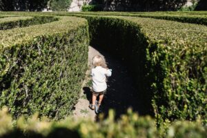 Illustration for The Maze