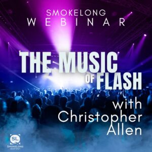 The Music of Flash: Influence and Interference