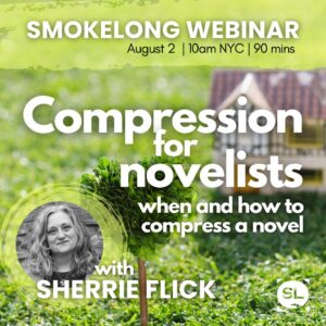 Compression for Novelists with Sherrie Flick