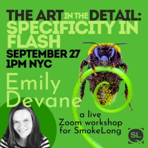 The Art in the Detail: Specificity in Flash, September 27th!