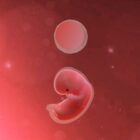 Illustration for Love ; Sigh