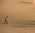 Illustration for Mojave Drive