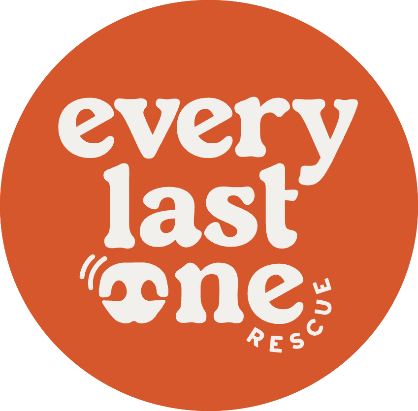 Every Last One