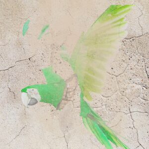 The Parrot with Three Painters